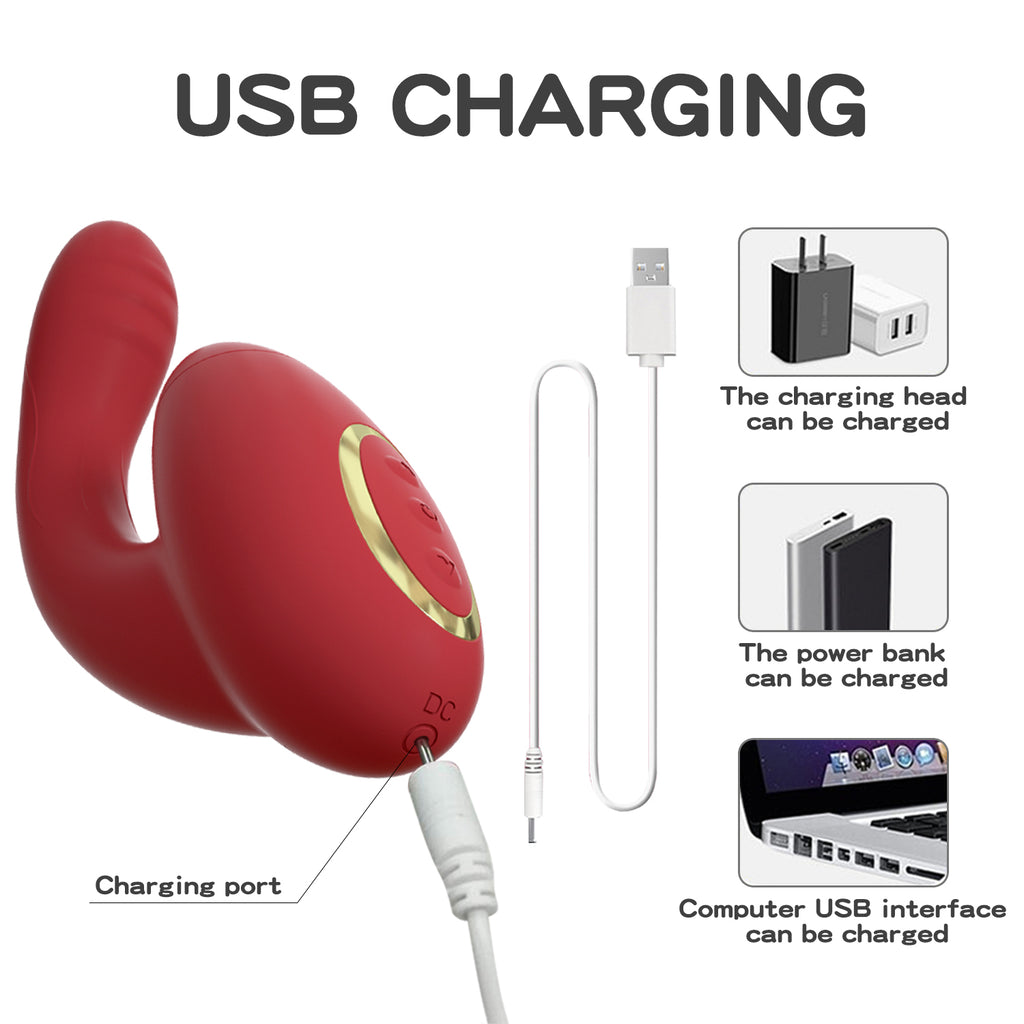Red U-shaped device with USB cable, charging head, power bank, and computer interface illustrations on a white background.